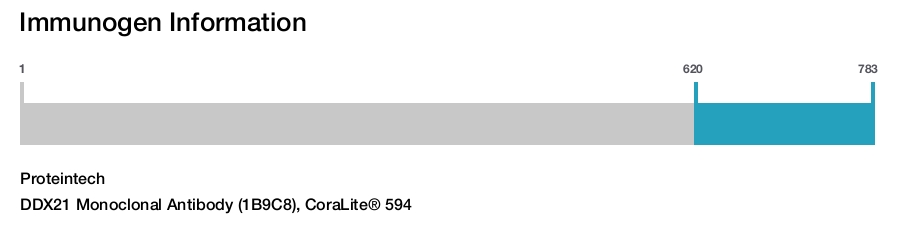 DDX21 Monoclonal Antibody (1B9C8), CoraLite&reg; 594