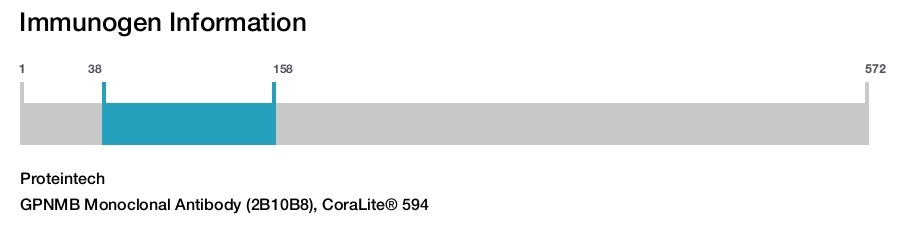 GPNMB Monoclonal Antibody (2B10B8), CoraLite&reg; 594