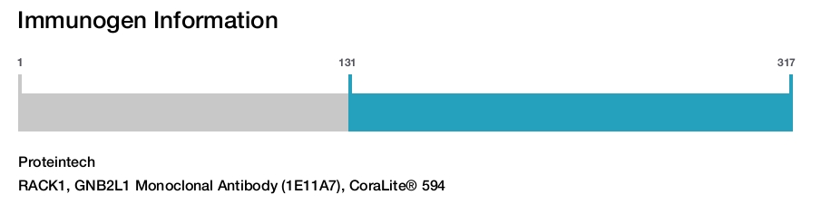 RACK1, GNB2L1 Monoclonal Antibody (1E11A7), CoraLite&reg; 594