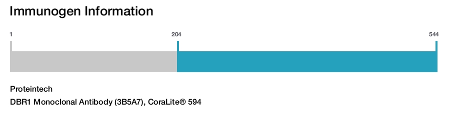 DBR1 Monoclonal Antibody (3B5A7), CoraLite&reg; 594
