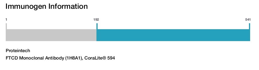 FTCD Monoclonal Antibody (1H8A1), CoraLite&reg; 594
