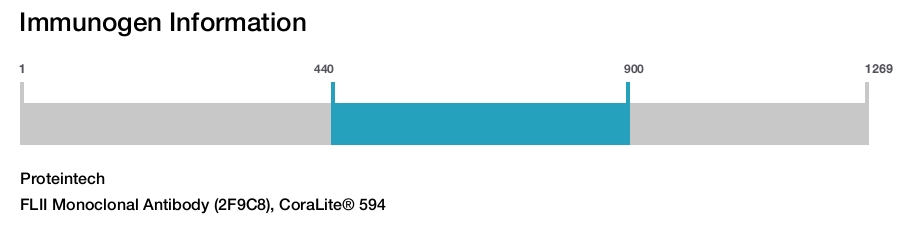 FLII Monoclonal Antibody (2F9C8), CoraLite&reg; 594