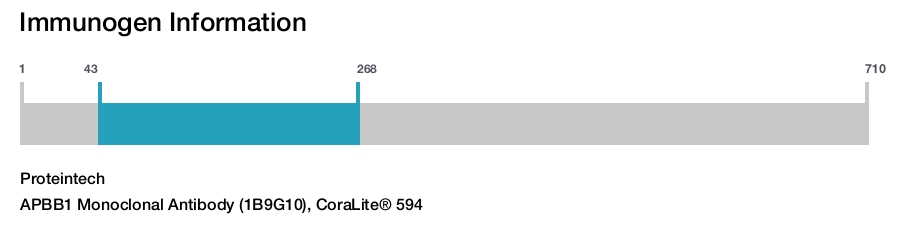 APBB1 Monoclonal Antibody (1B9G10), CoraLite® 594