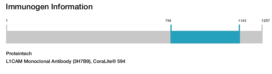 L1CAM Monoclonal Antibody (3H7B9), CoraLite&reg; 594