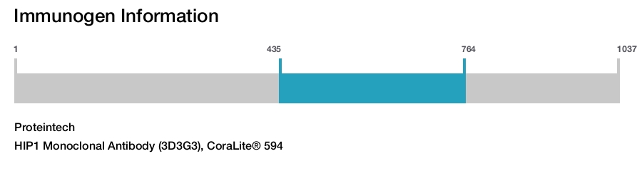 HIP1 Monoclonal Antibody (3D3G3), CoraLite® 594