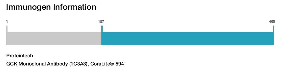 GCK Monoclonal Antibody (1C3A3), CoraLite&reg; 594