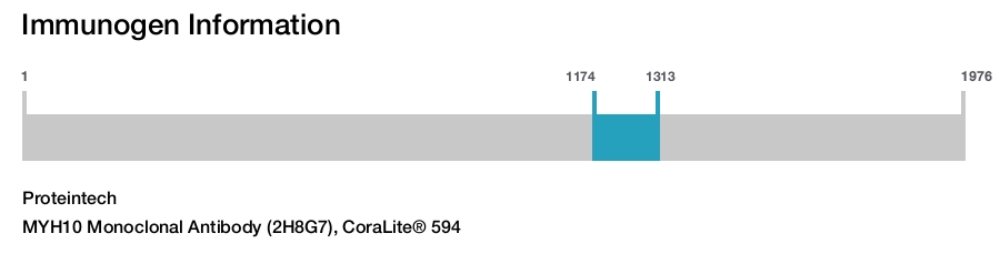 MYH10 Monoclonal Antibody (2H8G7), CoraLite&reg; 594