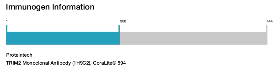 TRIM2 Monoclonal Antibody (1H9C2), CoraLite&reg; 594
