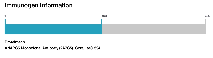 ANAPC5 Monoclonal Antibody (2A7G5), CoraLite&reg; 594