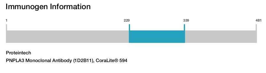 PNPLA3 Monoclonal Antibody (1D2B11), CoraLite&reg; 594