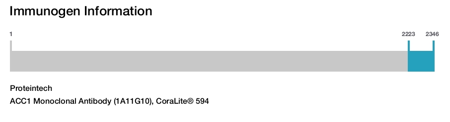 ACC1 Monoclonal Antibody (1A11G10), CoraLite&reg; 594