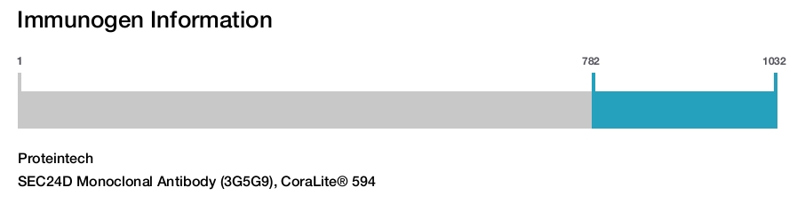 SEC24D Monoclonal Antibody (3G5G9), CoraLite&reg; 594