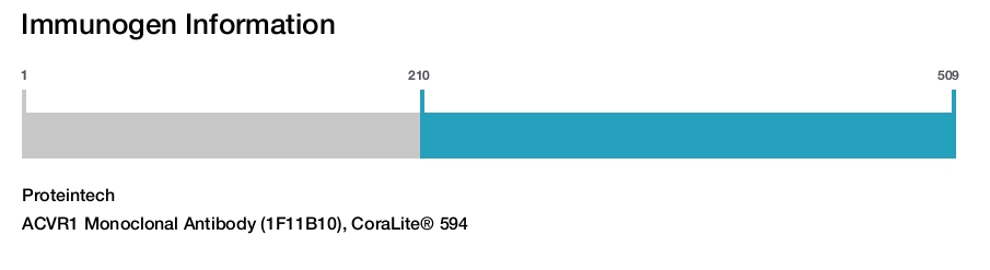 ACVR1 Monoclonal Antibody (1F11B10), CoraLite&reg; 594