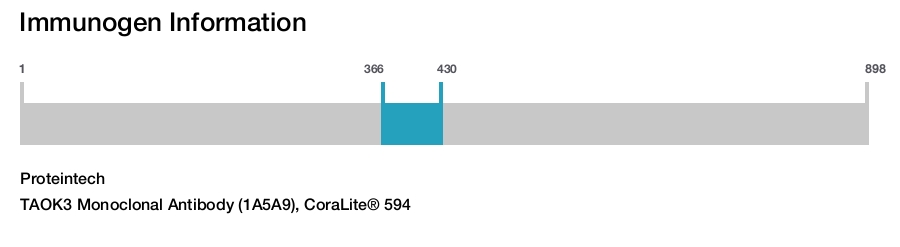 TAOK3 Monoclonal Antibody (1A5A9), CoraLite&reg; 594
