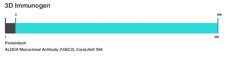 ALDOA Monoclonal Antibody (1D6C2), CoraLite&reg; 594