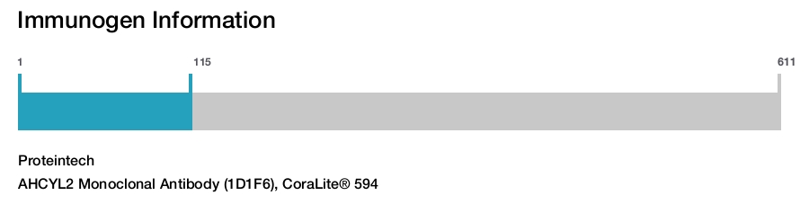 AHCYL2 Monoclonal Antibody (1D1F6), CoraLite&reg; 594