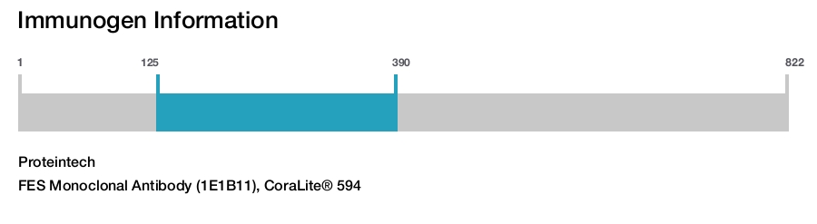 FES Monoclonal Antibody (1E1B11), CoraLite&reg; 594