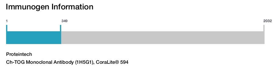 Ch-TOG Monoclonal Antibody (1H5G1), CoraLite&reg; 594