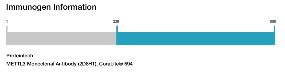 METTL3 Monoclonal Antibody (2D8H1), CoraLite&reg; 594