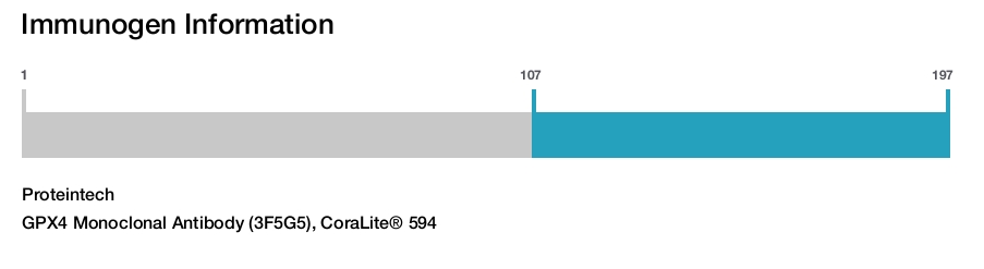 GPX4 Monoclonal Antibody (3F5G5), CoraLite&reg; 594
