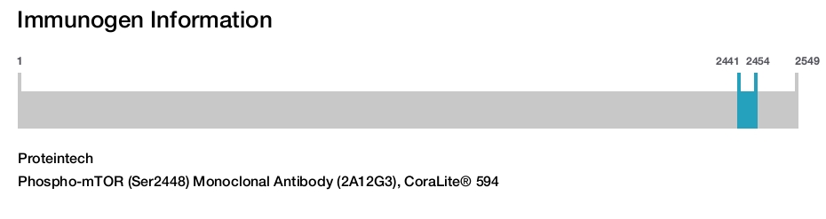 Phospho-mTOR (Ser2448) Monoclonal Antibody (2A12G3), CoraLite&reg; 594
