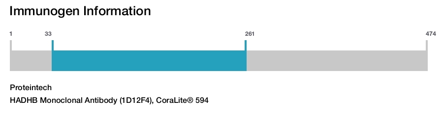 HADHB Monoclonal Antibody (1D12F4), CoraLite&reg; 594