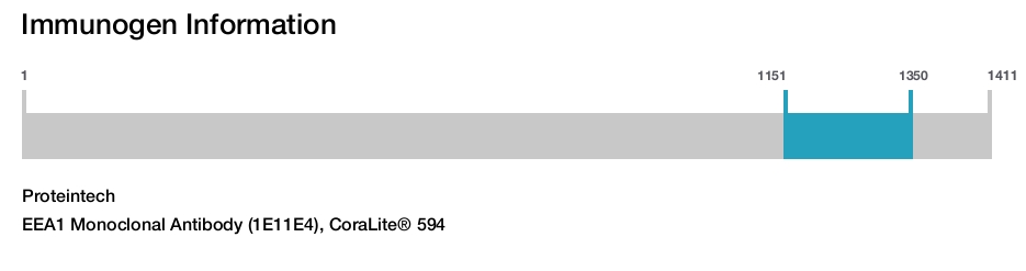 EEA1 Monoclonal Antibody (1E11E4), CoraLite® 594