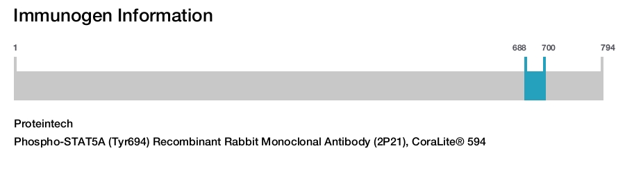 Phospho-STAT5A (Tyr694) Recombinant Rabbit Monoclonal Antibody (2P21), CoraLite&reg; 594