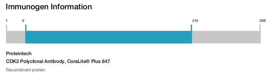 CDK2 Polyclonal Antibody, CoraLite&reg; Plus 647