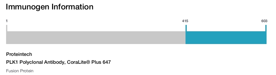 PLK1 Polyclonal Antibody, CoraLite&reg; Plus 647