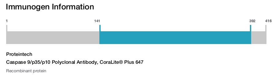 Caspase 9/p35/p10 Polyclonal Antibody, CoraLite&reg; Plus 647
