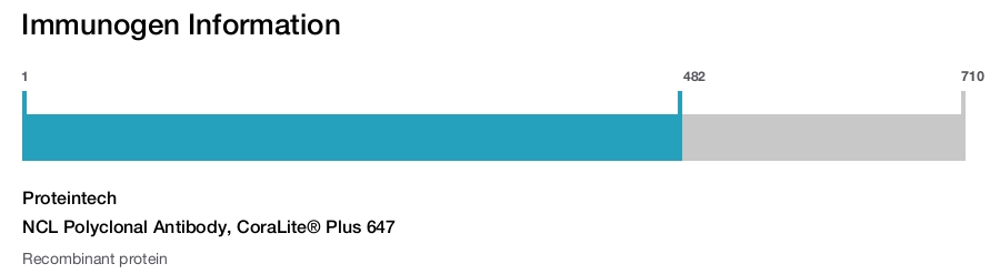 NCL Polyclonal Antibody, CoraLite&reg; Plus 647