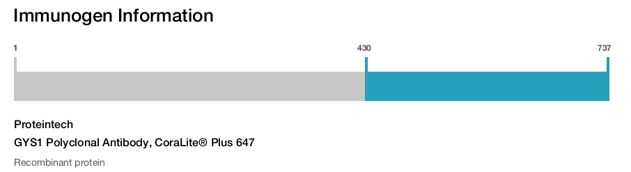 GYS1 Polyclonal Antibody, CoraLite&reg; Plus 647