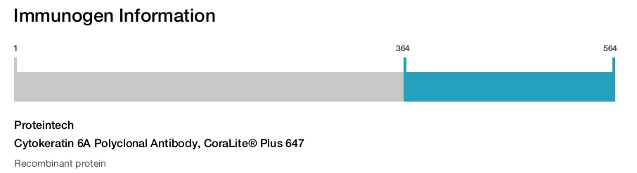Cytokeratin 6A Polyclonal Antibody, CoraLite&reg; Plus 647