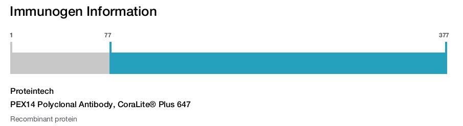 PEX14 Polyclonal Antibody, CoraLite&reg; Plus 647