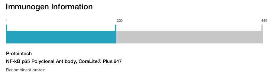 NF-kB p65 Polyclonal Antibody, CoraLite&reg; Plus 647