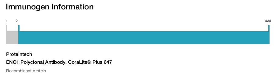 ENO1 Polyclonal Antibody, CoraLite&reg; Plus 647