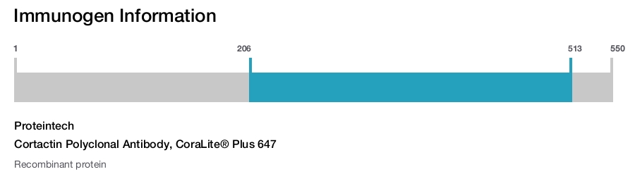 Cortactin Polyclonal Antibody, CoraLite&reg; Plus 647
