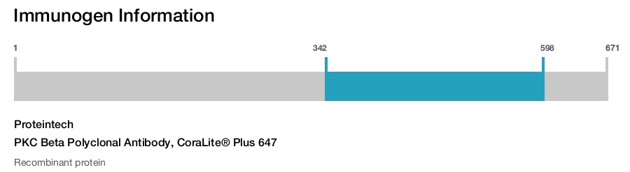 PKC Beta Polyclonal Antibody, CoraLite&reg; Plus 647