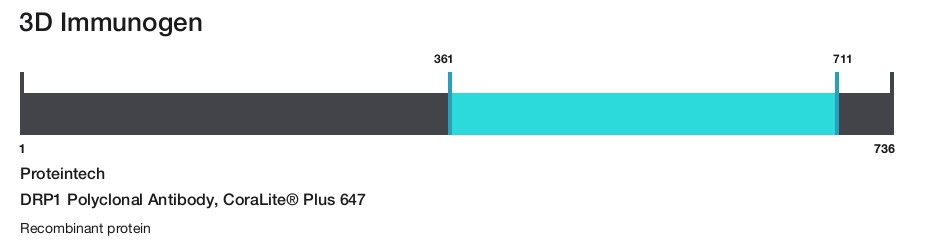 DRP1 Polyclonal Antibody, CoraLite&reg; Plus 647