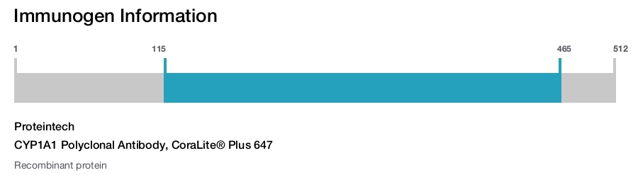 CYP1A1 Polyclonal Antibody, CoraLite&reg; Plus 647