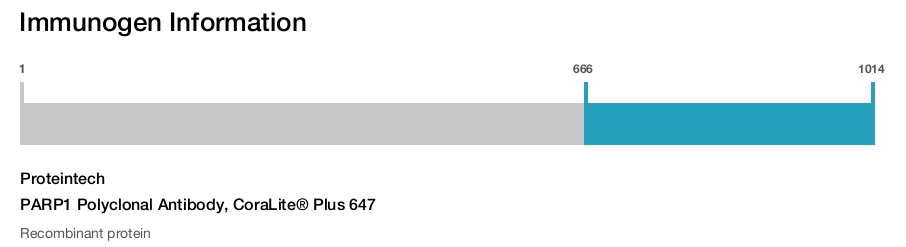 PARP1 Polyclonal Antibody, CoraLite&reg; Plus 647