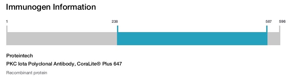 PKC Iota Polyclonal Antibody, CoraLite&reg; Plus 647