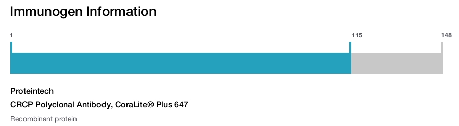 CRCP Polyclonal Antibody, CoraLite&reg; Plus 647
