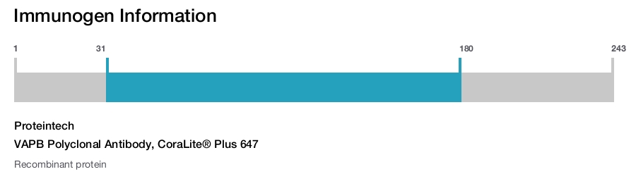 VAPB Polyclonal Antibody, CoraLite&reg; Plus 647