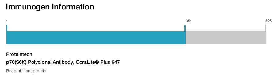p70(S6K) Polyclonal Antibody, CoraLite&reg; Plus 647