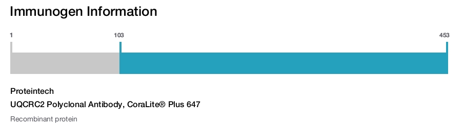 UQCRC2 Polyclonal Antibody, CoraLite&reg; Plus 647