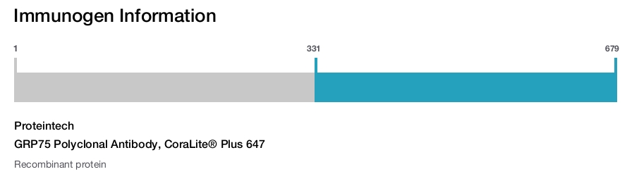 GRP75 Polyclonal Antibody, CoraLite&reg; Plus 647