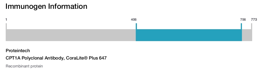 CPT1A Polyclonal Antibody, CoraLite&reg; Plus 647