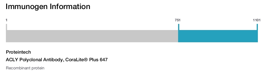 ACLY Polyclonal Antibody, CoraLite&reg; Plus 647